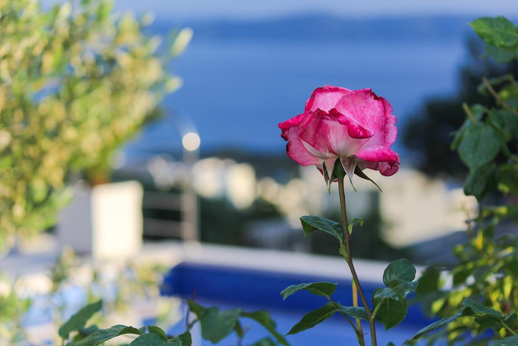 Villa Levanda Макарска Екстериор снимка